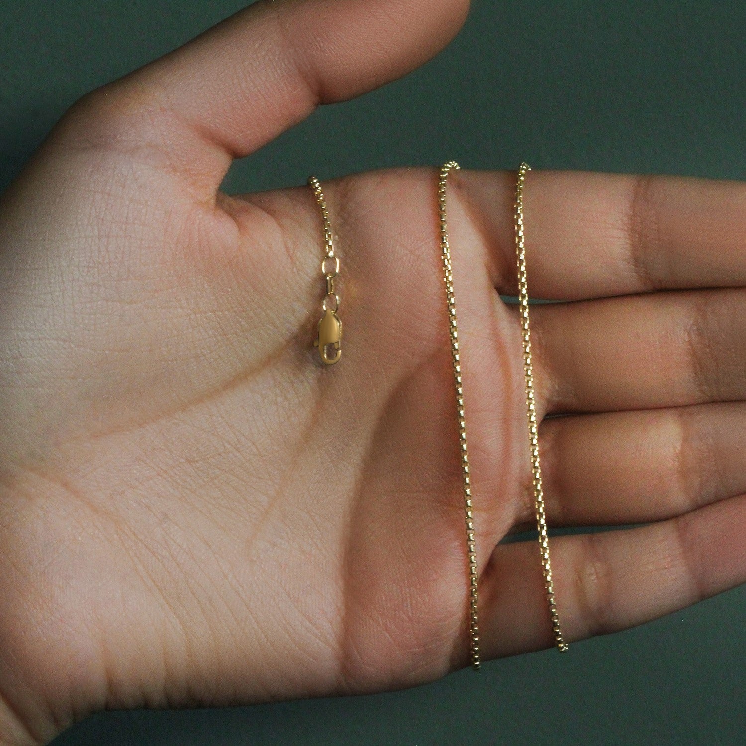 14k yellow gold round box chain with a lobster clasp held in an open hand.