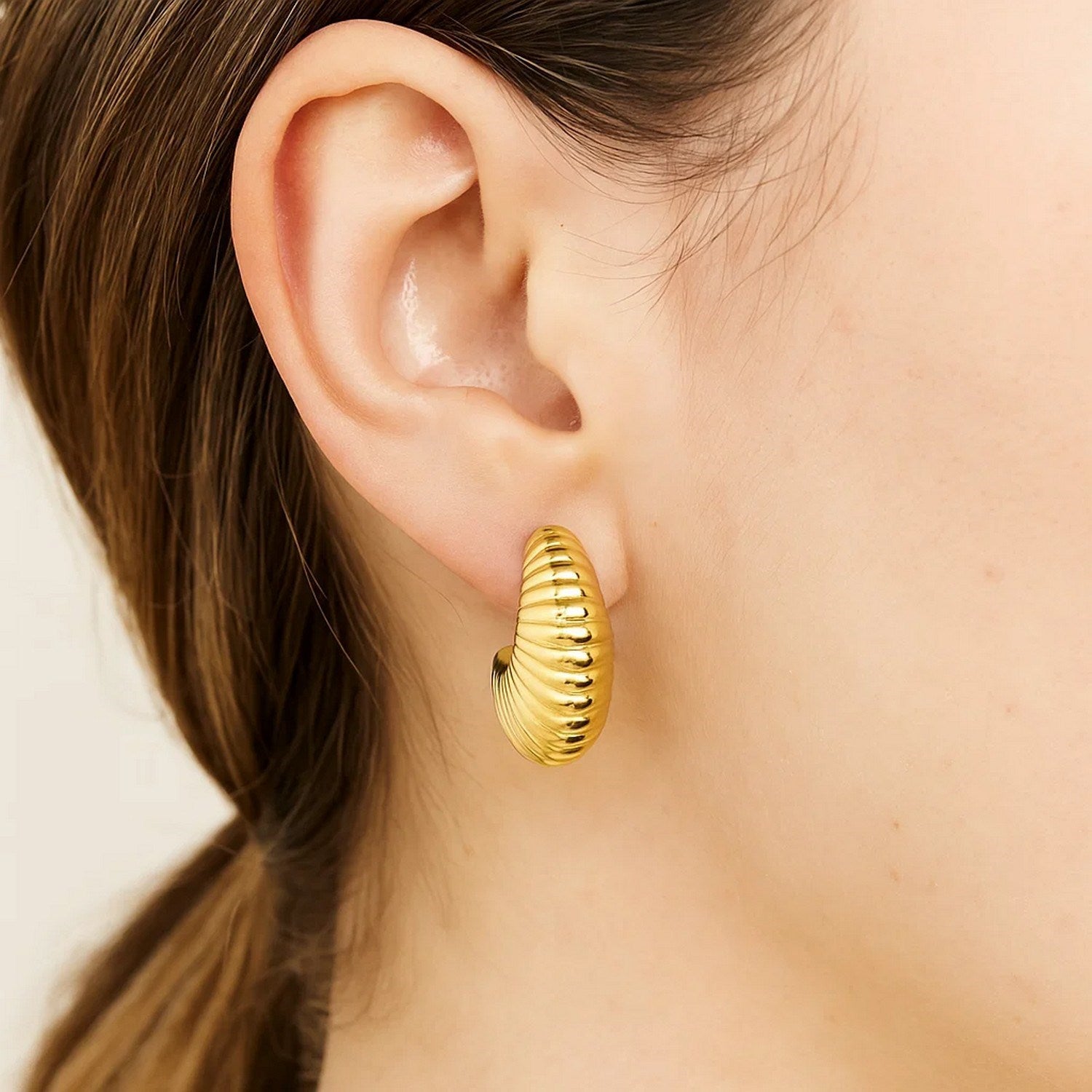 Puffy graduated ribbed shell hoop earrings in 14K yellow gold on a model's ear.