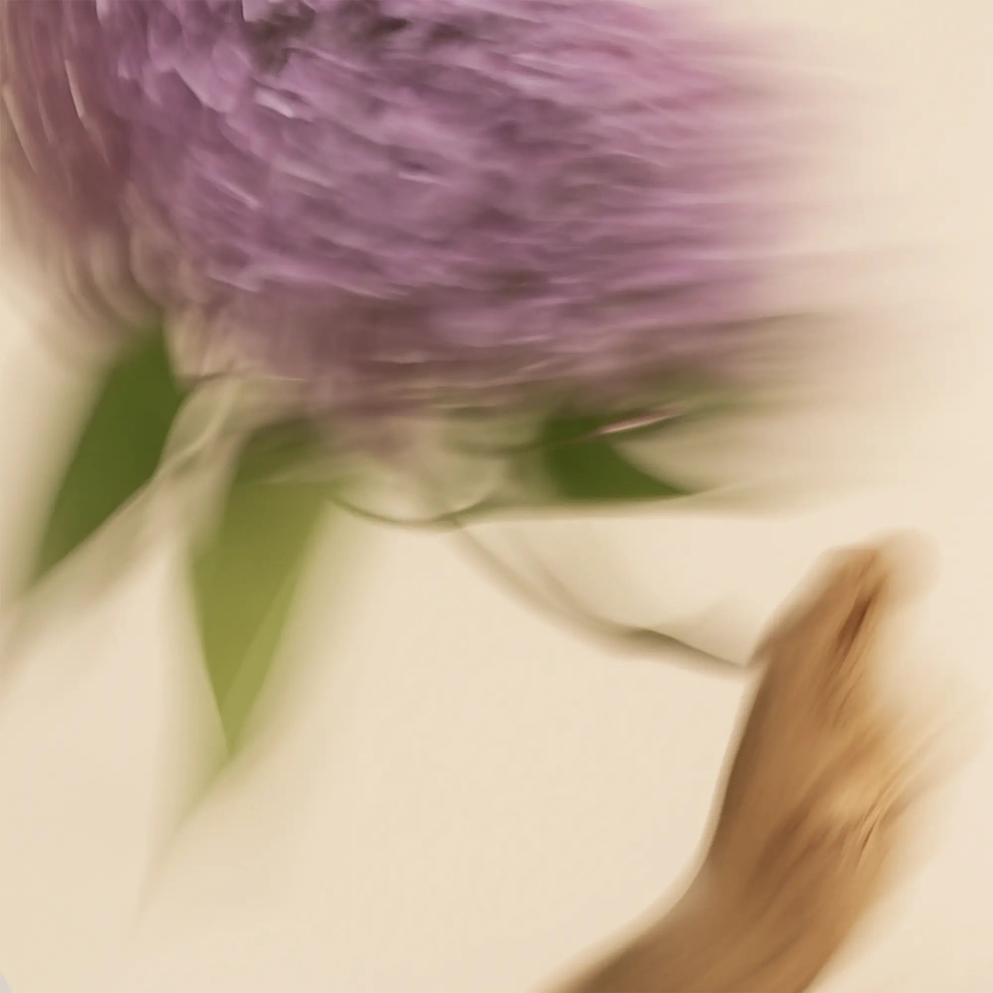 A blurred image of a purple lilac flower and a hand.