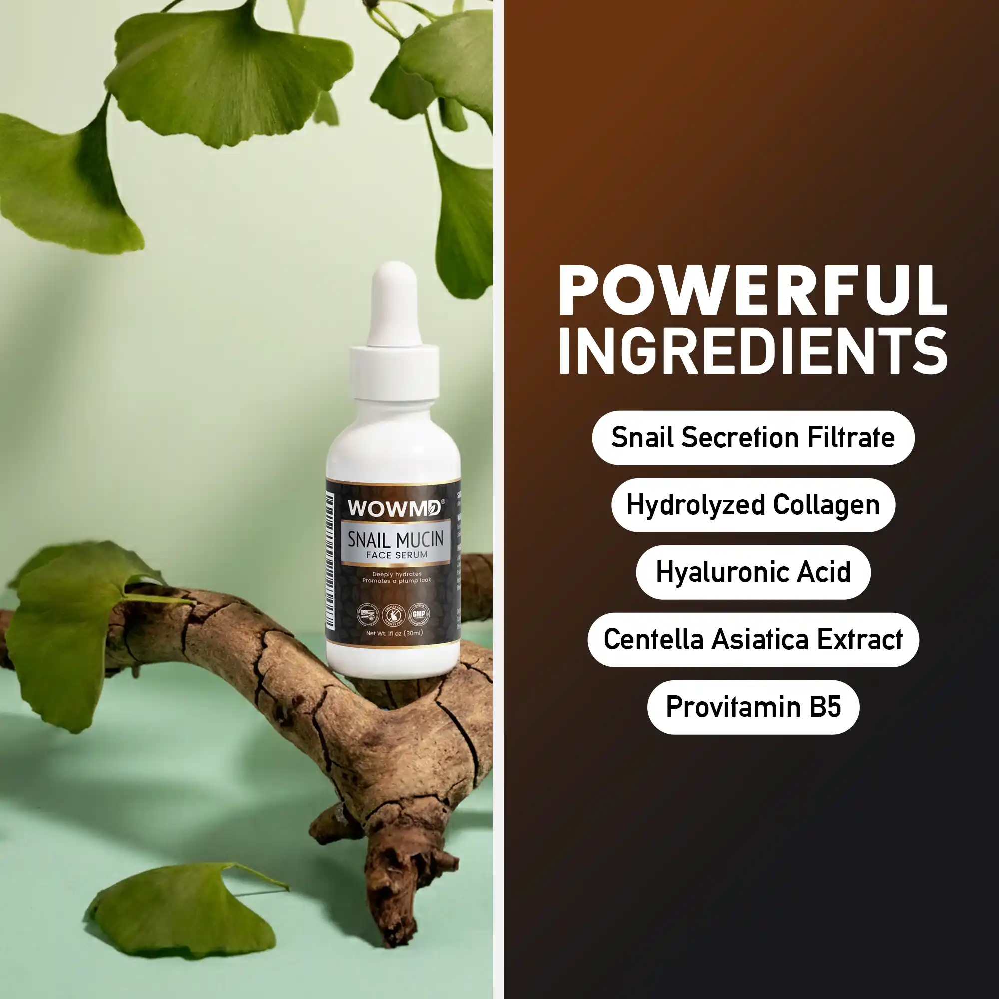 Snail Mucin Face Serum