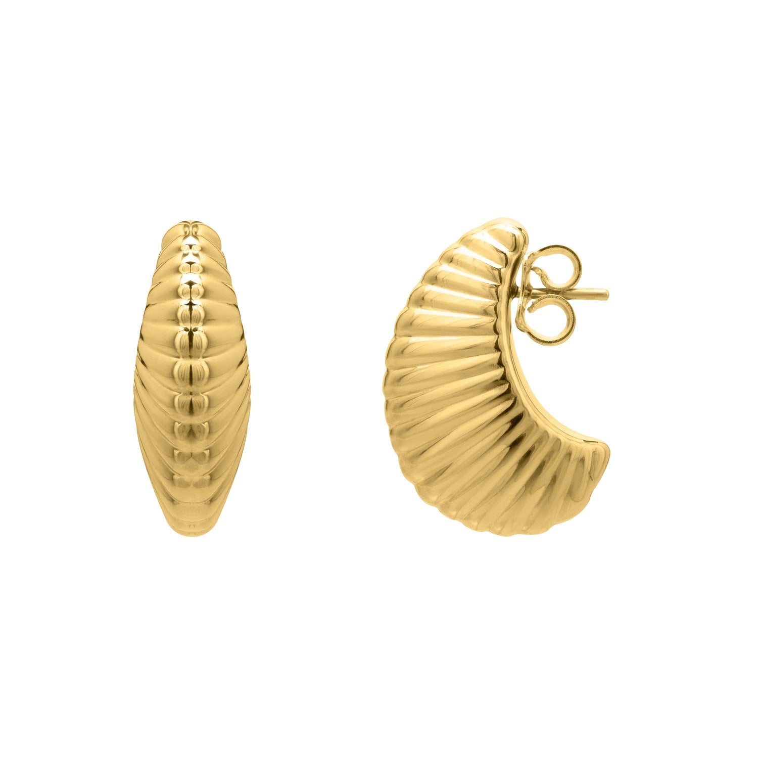 Puffy graduated ribbed shell hoop earrings in 14K yellow gold with push-back clasps.