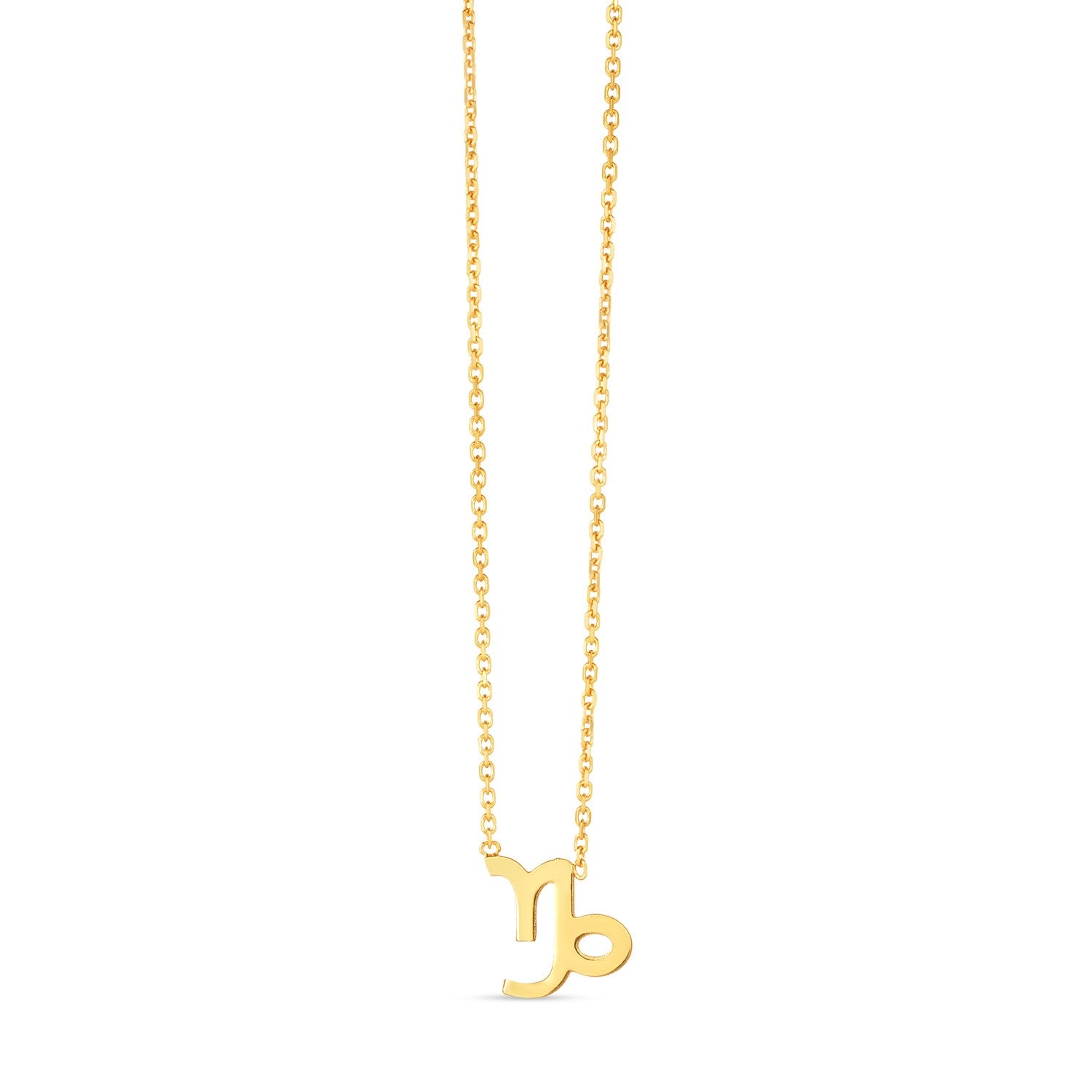 14K yellow gold Capricorn necklace with a link chain and spring ring clasp.