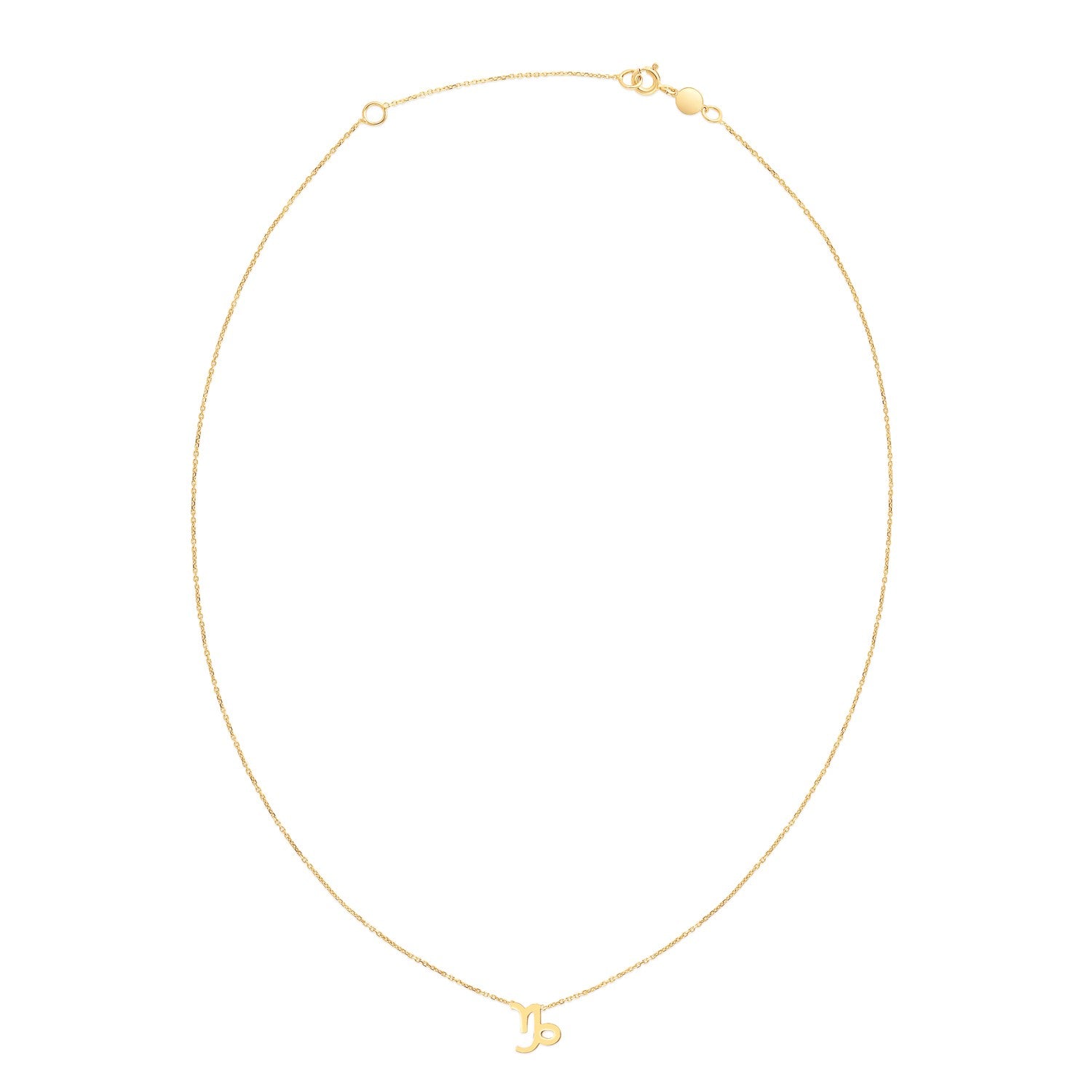 14K yellow gold Capricorn necklace with a spring ring clasp.