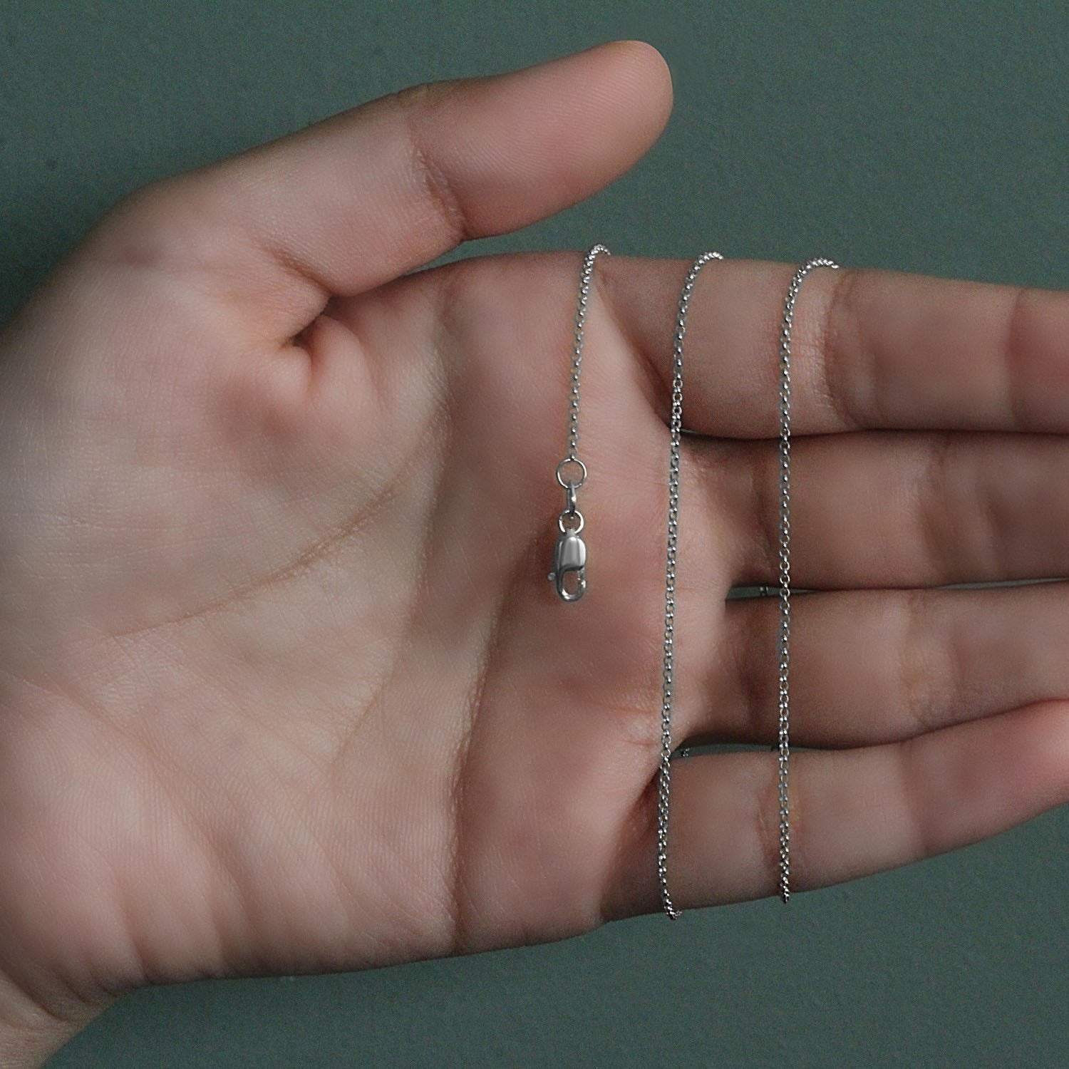 14k white gold diamond cut rolo chain with a lobster clasp held in a hand.