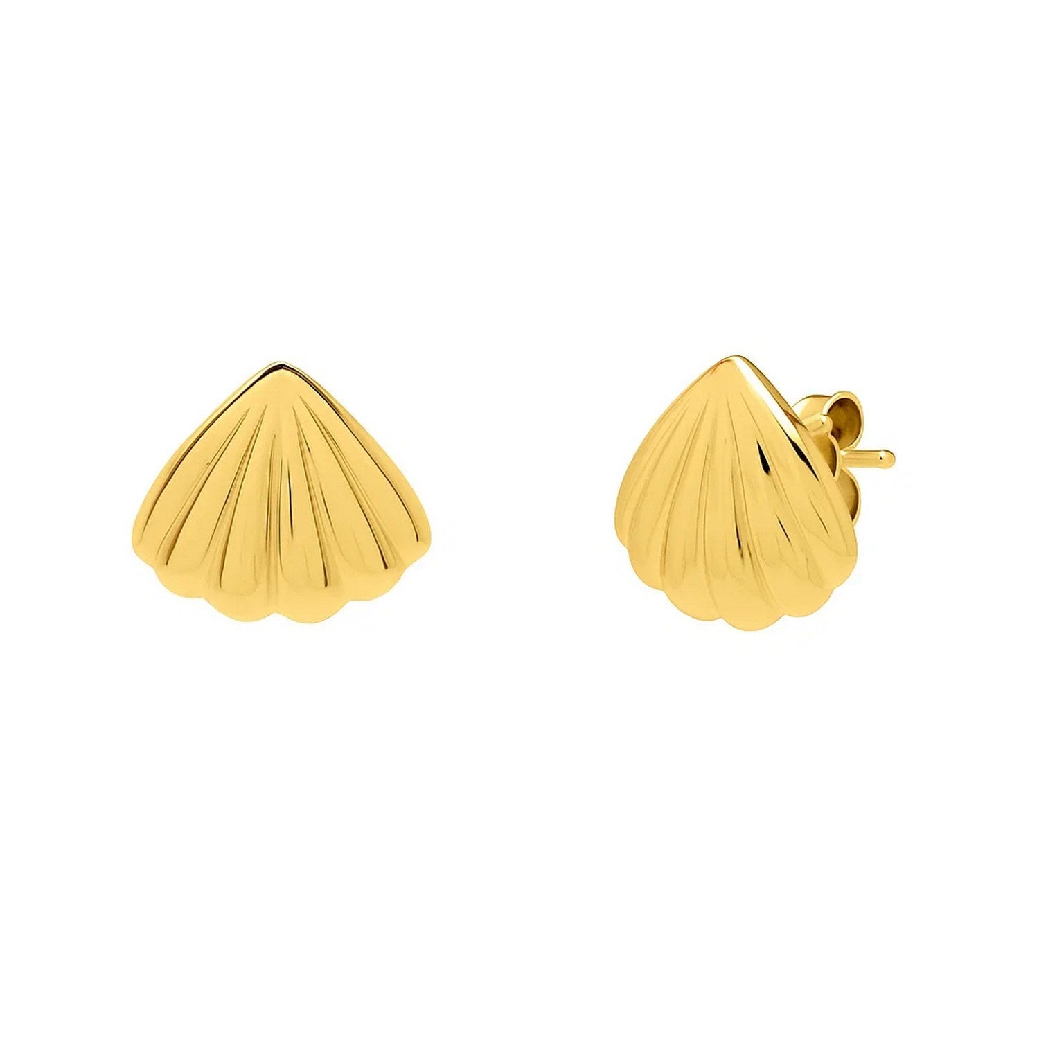 Pair of polished yellow gold sea shell stud earrings with push-back clasps.