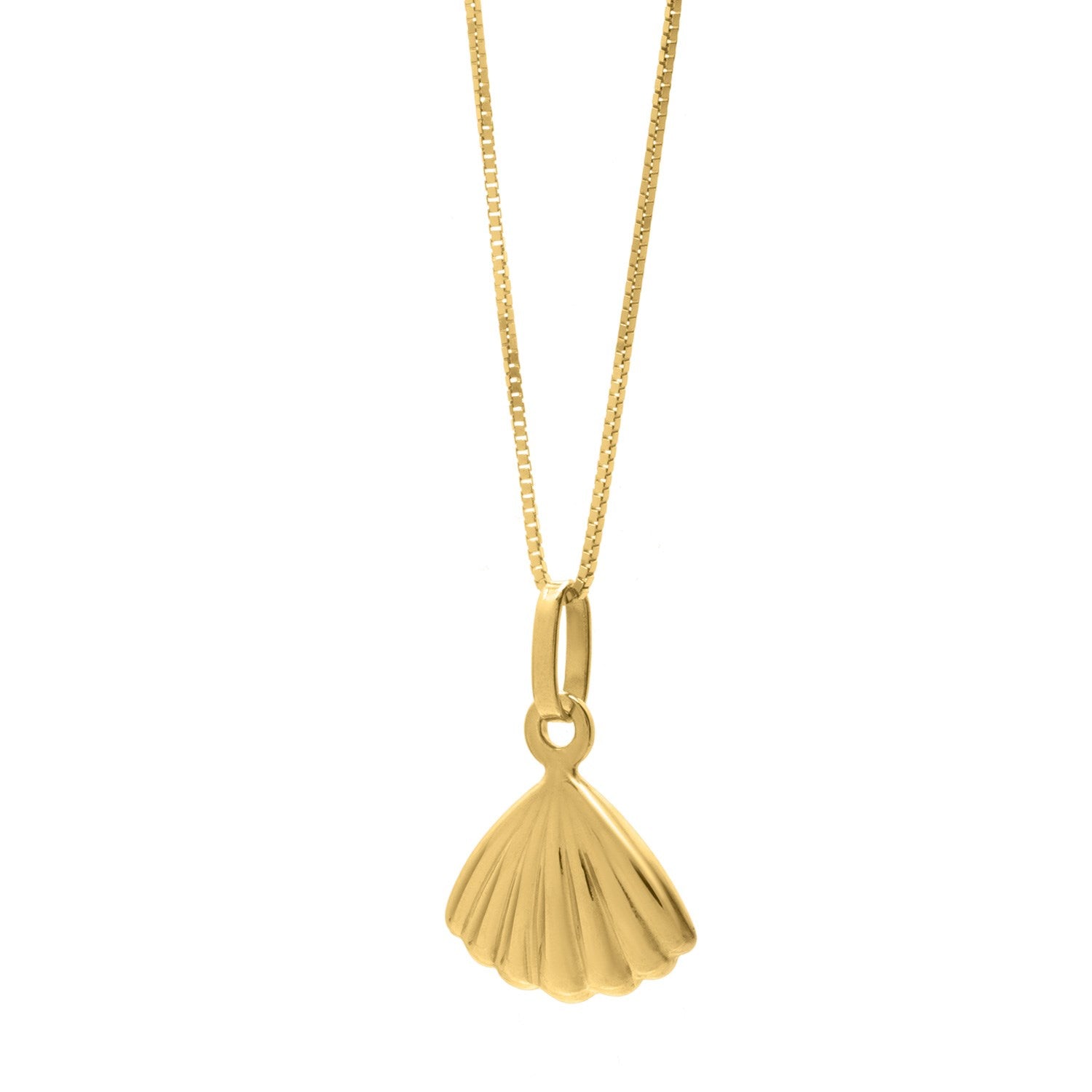 A polished scallop shell pendant in 10K yellow gold on a delicate chain.