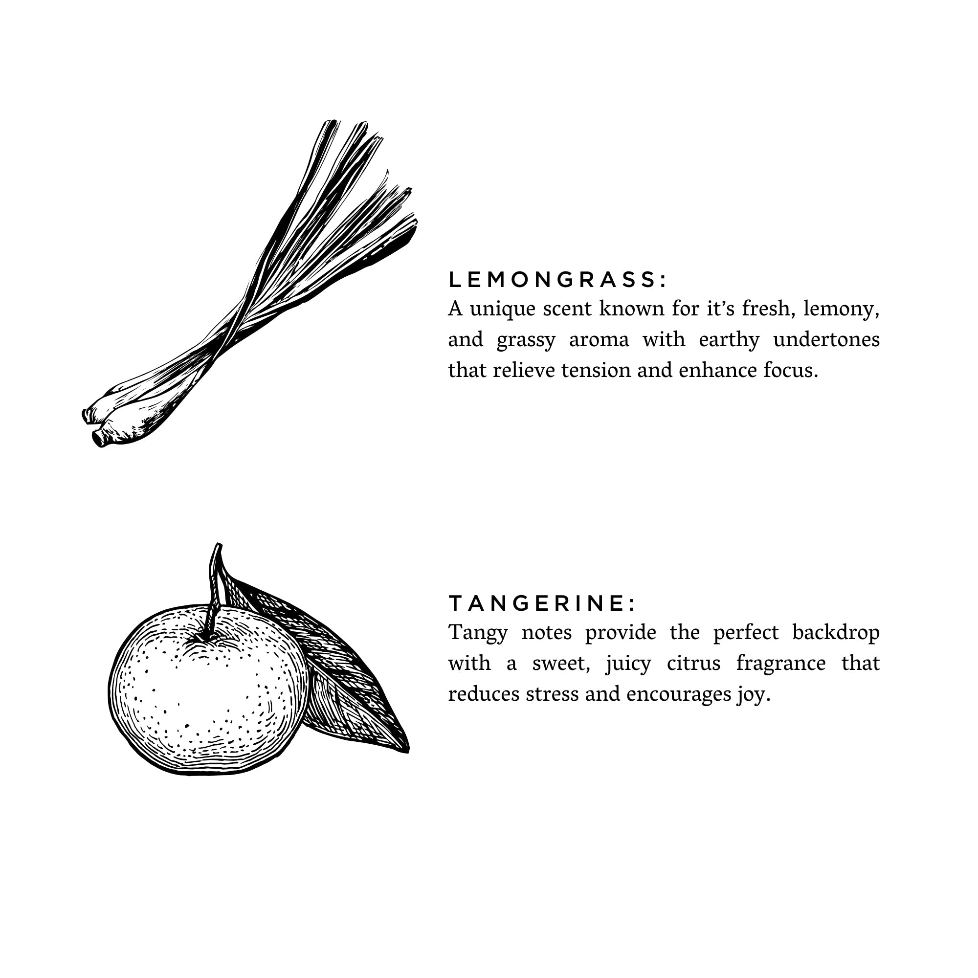 Lemongrass + Tangerine