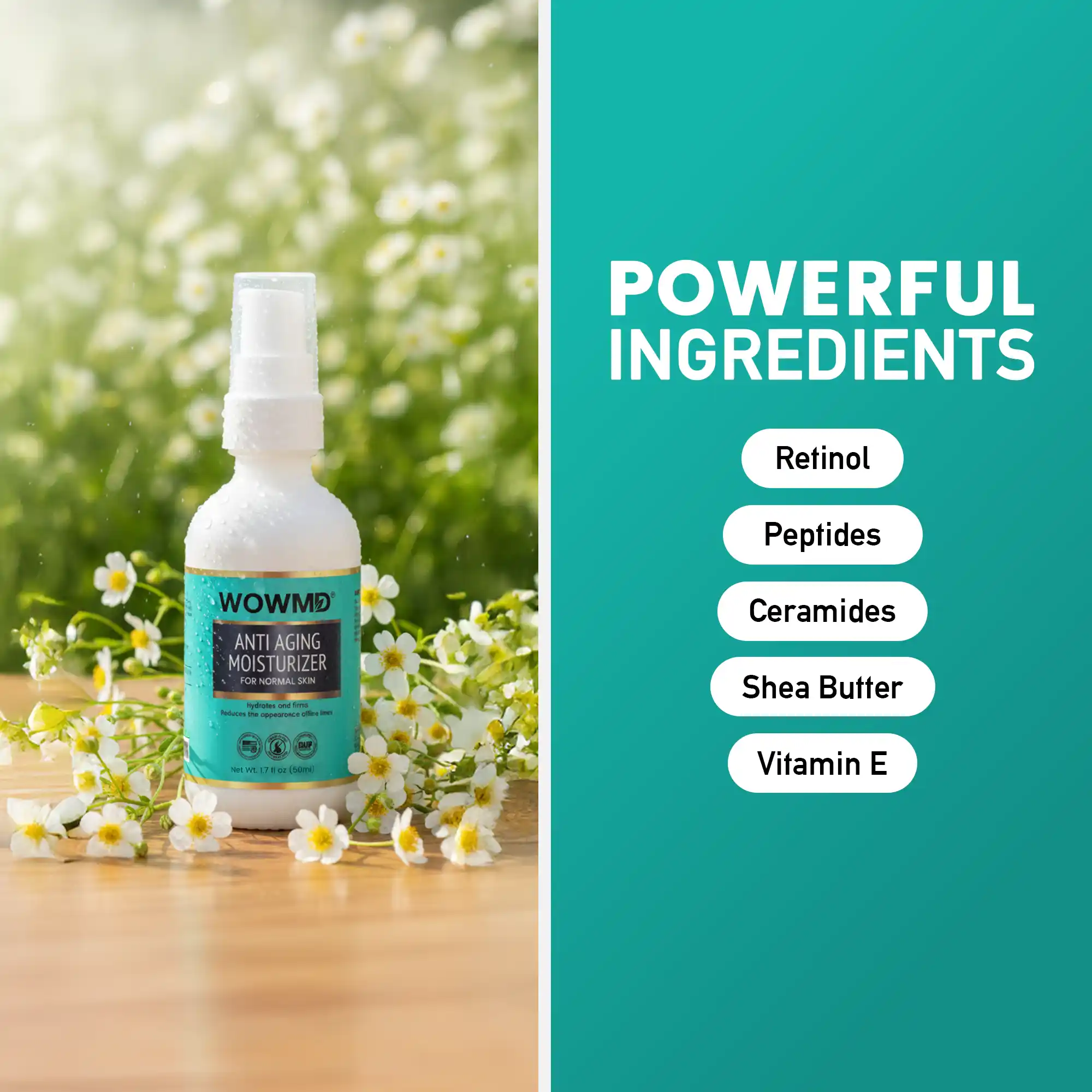 Anti Aging Moisturizer for Normal Skin