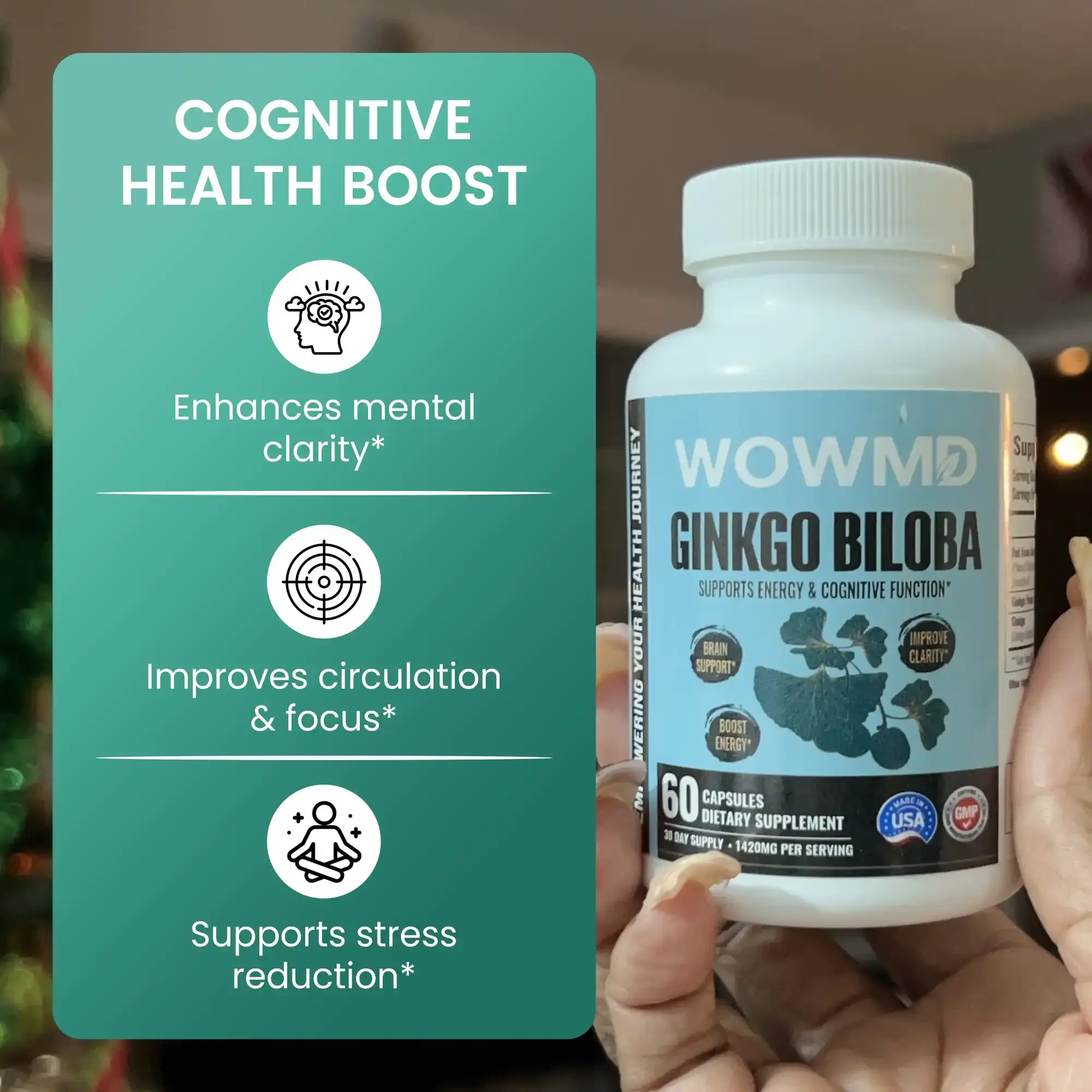 Ginkgo Biloba